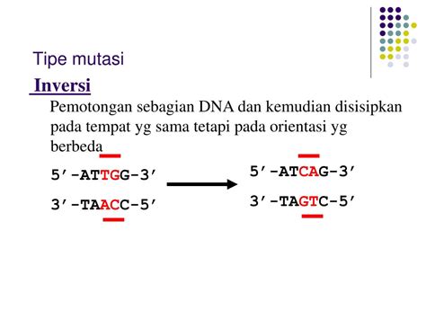 Ppt Mutasi Powerpoint Presentation Free Download Id4447970