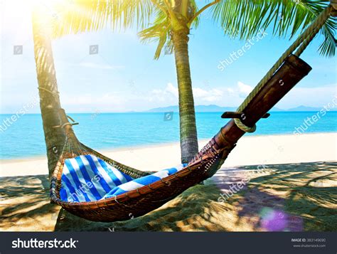 Empty Hammock Between Palms Trees At Sandy Beach Stock Photo