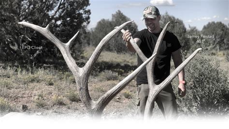 The Best Arizona Mule Deer Units Hunts Exclusive Pursuit