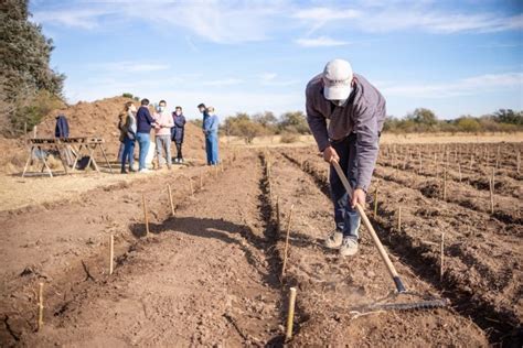 Avanza el plan de forestación de ocho mil especies LV16 ar