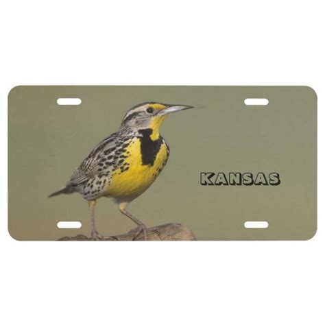 Kansas State Bird License Plate | Zazzle