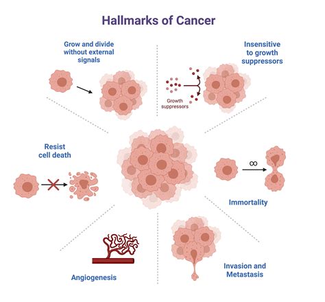 Cancer College Biology I