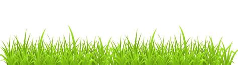 Cartoon Grass Background Vector Art, Icons, and Graphics for Free Download