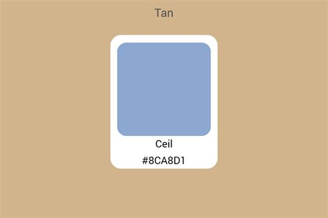 All You Need to Know about Tan Color: An Ultimate Guide