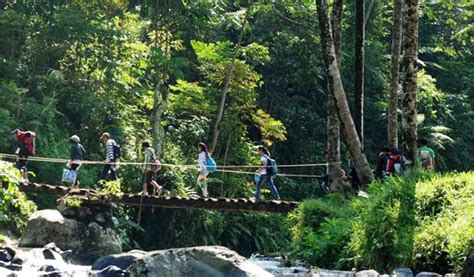 Kampung Ciwaluh Wisata Alam Di Bogor Untuk Habiskan Waktu Akhir Pekan