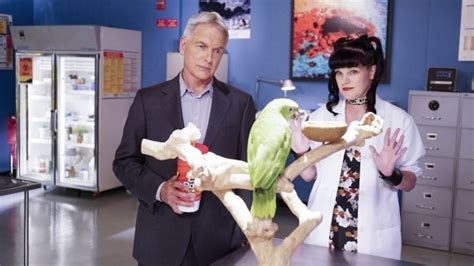 Gibbs Meets Abbys New Lab Partner Juan Ncis Ncis Season 14 Ncis Cast