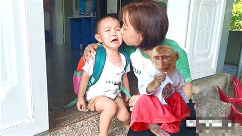 Monkey Titi Was Worried When Bear Cried When He Couldn T Go To School