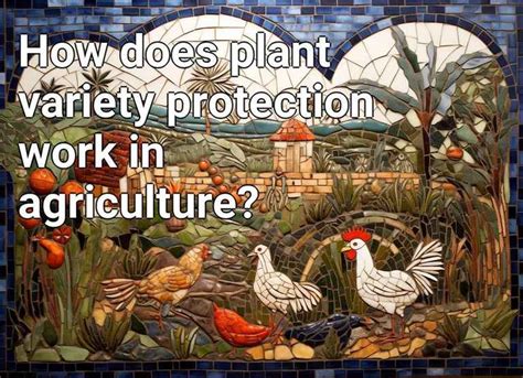 How Does Plant Variety Protection Work In Agriculture Agriculture