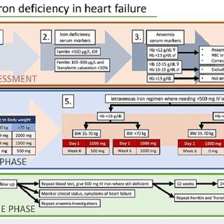 Diagnosis, treatment, and follow-up of iron deficiency in heart failure ...