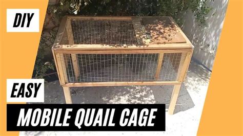 20 Homemade DIY Quail Cage Plans And Ideas