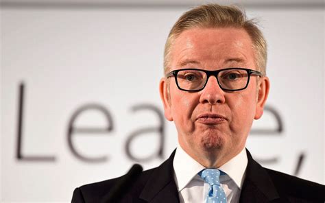 Michael Gove Urges Eu Referendum Voters To Trigger The Democratic