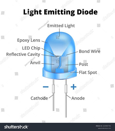 Light Emitting Diode Led Structure Education Vector Image Off