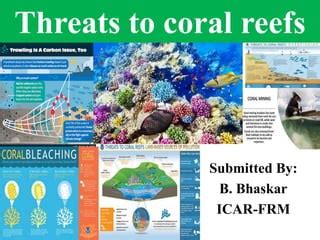 Frm 607 threats to coral reef b9 copy | PPT