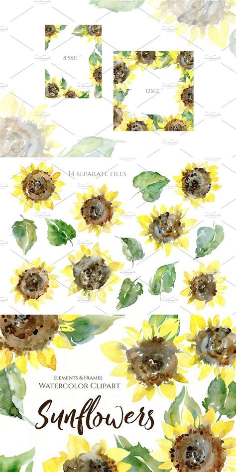 Watercolor Sunflower Flowers Leaves | Watercolor sunflower, Sunflower ...