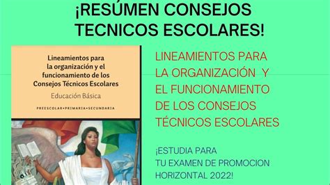 Resumen Lineamientos Para La Organizaci N Y El Funcionamiento De Los