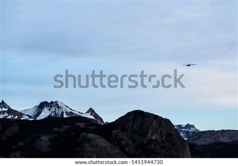 24 Condor De Los Andes Peru Images, Stock Photos & Vectors | Shutterstock