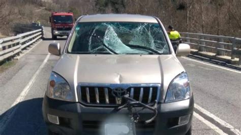 Fin de semana trágico en las carreteras 17 muertos seis de ellos