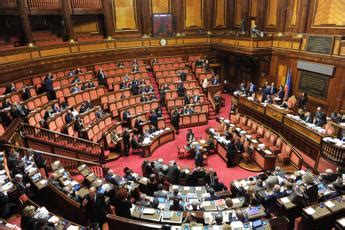 Amar Nuovo Parlamento Si Occupi Dei Decreti Attuativi Testo Unico Per