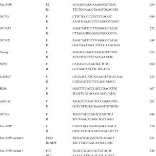 Expression Of Linc ROR And Its Spliced Variants During NT2 Cells