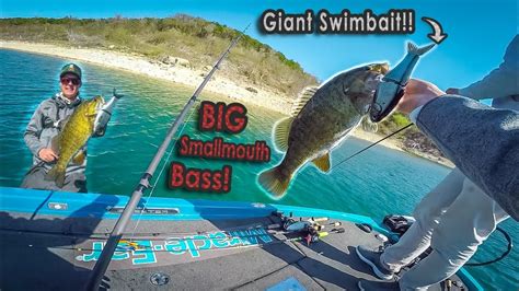 Fishing Giant Swimbaits For Smallmouth Bass Bass Manager The Best