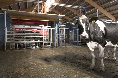 Refurbished Lely Astronaut Milking Robot Program Penner Farm Services