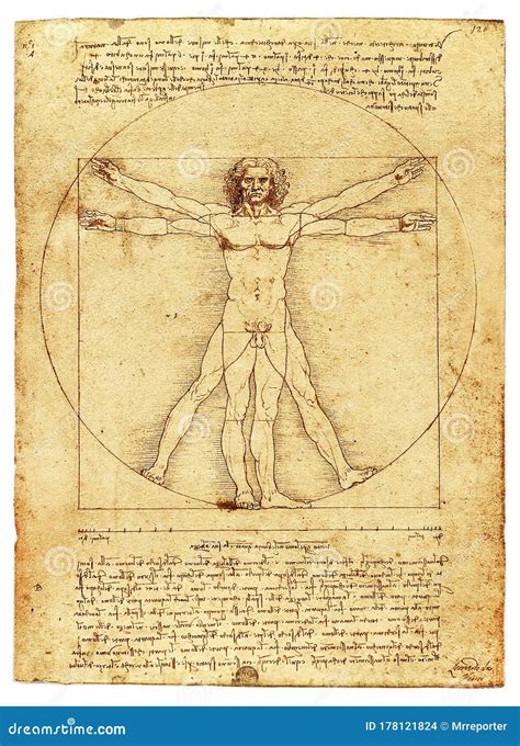 O Homem Vitruviano De Leonardo Da Vinci - Homem Vitruviano De Leonardo Da Vinci Imagem de Stock Editorial ...
