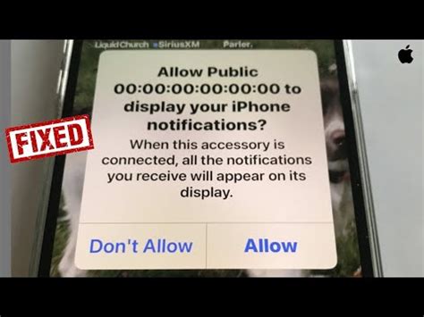 Iphone Stuck On Allow Public Notifications In Ios Fixed Youtube