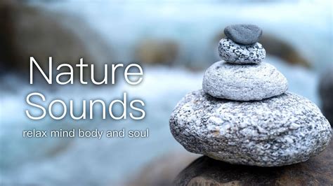 1小時大自然冥想音樂 深度放鬆 清除負能量 助眠 Nature Sounds With Piano Music Meditation Healing Relaxation