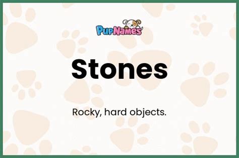 Stones Nombre De Perro Significado Y Popularidad Pupnames