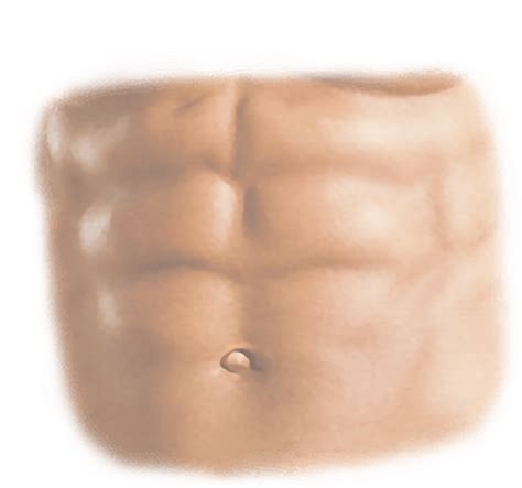 Download Hd Six Pack Abs Png Picsart Transparent Png Image