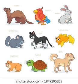 Pet Characters Design Collection Cartoon Animals: เวกเตอร์สต็อก (ปลอด ...