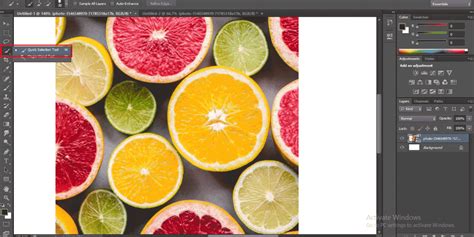 Quick Selection Tool in Photoshop | How to Use the Quick Selection Tool?