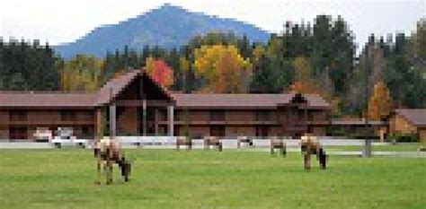 Cowlitz River Lodge In Packwood Best Rates And Deals On Orbitz