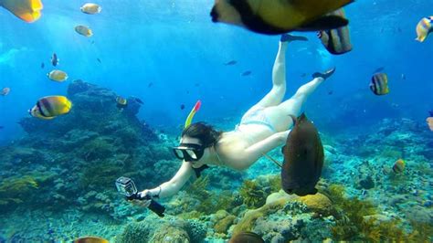 Spot Diving Dan Snorkeling Di Karangasem Bali