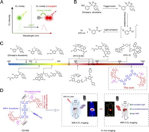 Design And Synthesis Of A Small Molecular Nir Ii Chemiluminescence