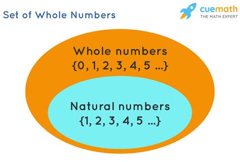 Grade 9 Whole Numbers And Integers Assignment