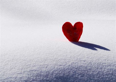 Winter Valentine Iii Flickr Photo Sharing