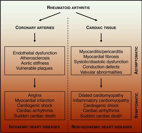 Pathogenesis Of Ischaemic And Non Ischaemic Heart Diseases In Rheumatoid Arthritis Rmd Open