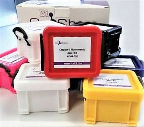 Caspasa 3 Colorimetric Assay Kit Bqc Kc04007 100