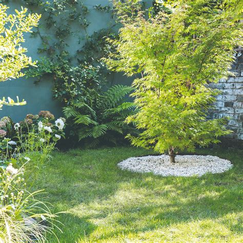 These are the essential autumn lawn care tips to follow | Ideal Home