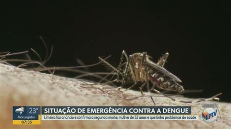 Limeira Confirma Segunda Morte Por Dengue Em 2024 E Decreta Estado De