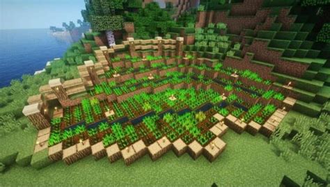 Qu Cosas Puedo Cultivar En Un Huerto De Minecraft Mira C Mo Se Hace