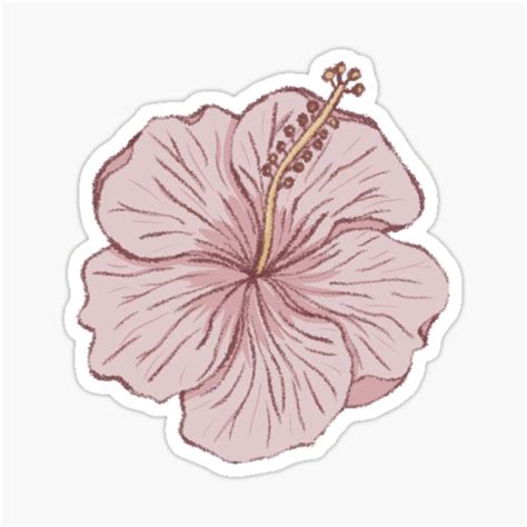 Tropical Hibiscus Sticker For Sale By Zephyr Studio Redbubble