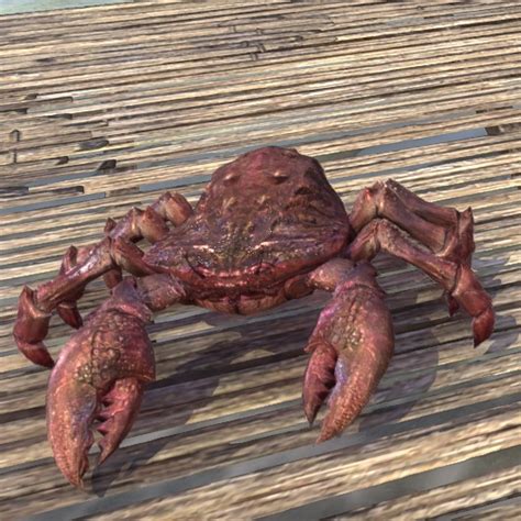 Onlineprodigious Crimson Mudcrab The Unofficial Elder Scrolls Pages