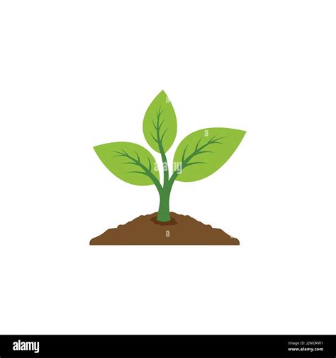 Plant Icon Vector Leaf Growing Design Seed And Seeding Vector Icon