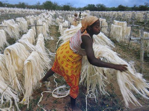 Sustainable Living Institute Save Madagascar Westernmost Of The