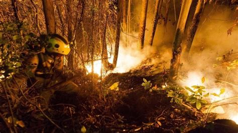 Tres Incendios Activos En Galicia Queman Más De 1 800 Hectáreas