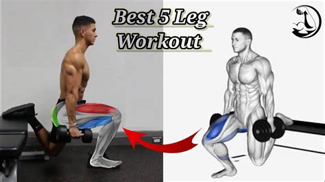 Best 5 Leg Workout With Dumbbells Leg Workout Dumbbells Exercise Exercise And Workout