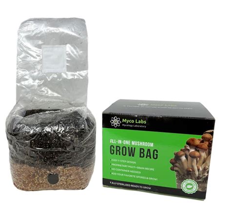 Amazon Myco Labs All In One Mushroom Grow Kit In A Bag With