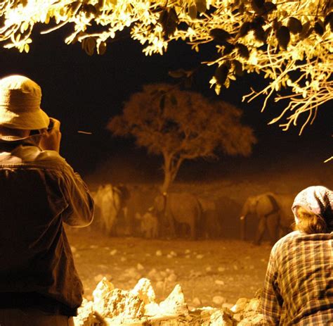 Afrika Echt Tierisch Mit Kind Auf Safari In Kenia Welt